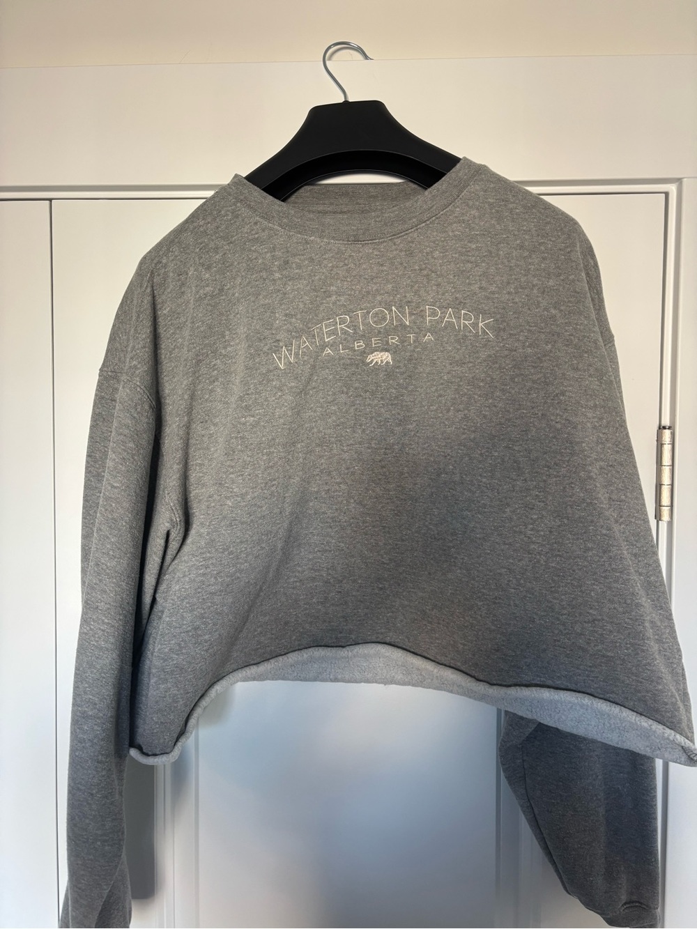 Waterton Park Alberta Grey Cropped Sweatshirt